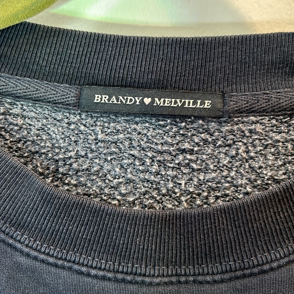 Brandy Melville Niagar falls canda oversize crewneck - Picture 9 of 16